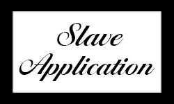 Slave Application